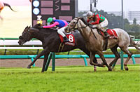 Sankei Sho All Comers (G2)