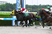Sirius Stakes (G3)