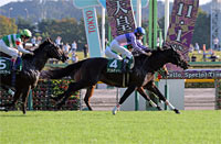 Saudi Arabia Royal Cup (G3)