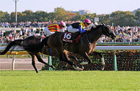 Ireland Trophy (G2)
