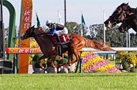 MBS Sho Swan Stakes (G2)