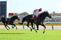Tokyo High-Jump (J-G2)