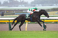 Artemis Stakes (G3)
