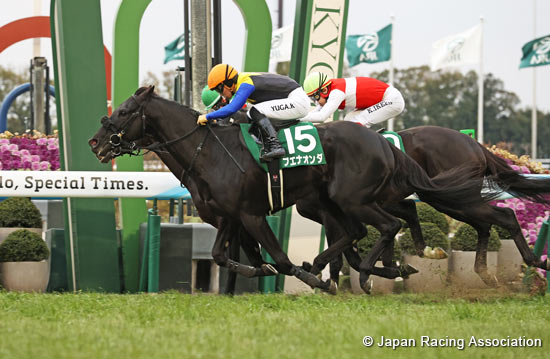 Sports Nippon Sho Kyoto Kimpai (G3)