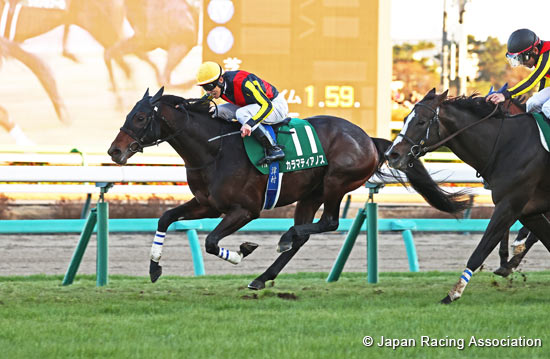 Nikkan Sports Sho Nakayama Kimpai (G3)