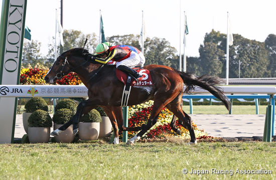 Nikkei Shinshun Hai (G2)