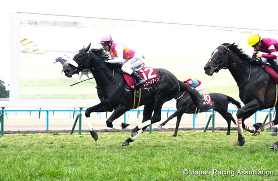 Kyoto Kinen (G2)