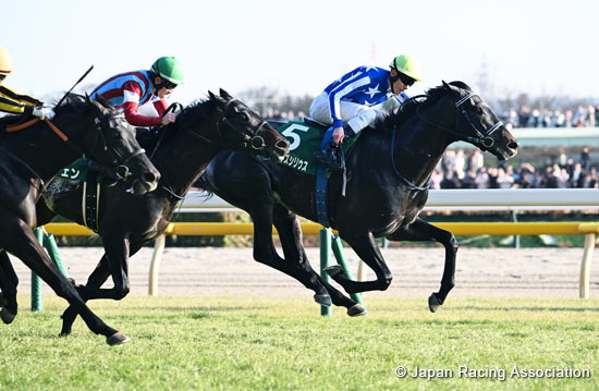 Kyodo News Hai (Tokinominoru Kinen) (G3)