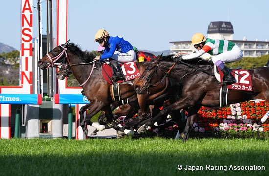 Tulip Sho (Japanese 1000 Guineas Trial) (G2)