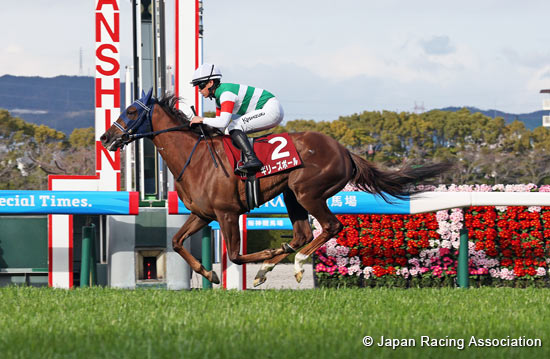 Hochi Hai Fillies' Revue (Japanese 1000 Guineas Trial) (G2)