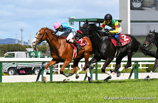 Hanshin Spring Jump (J-G2)