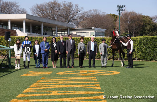 Pegasus Jump Stakes