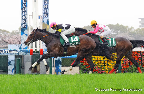 Churchill Downs Cup (NHK Mile Cup Trial) (G3)