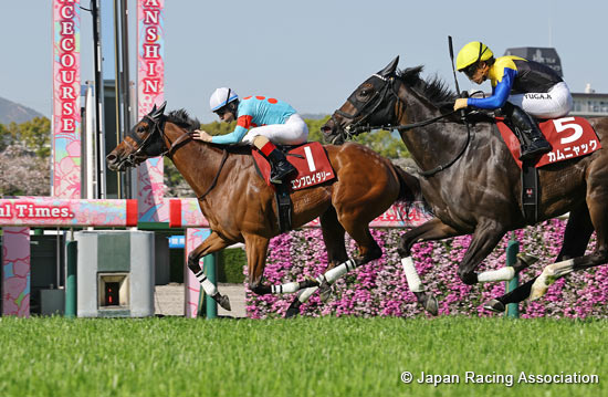 Sankei Sports Hai Hanshin Himba Stakes (G2)