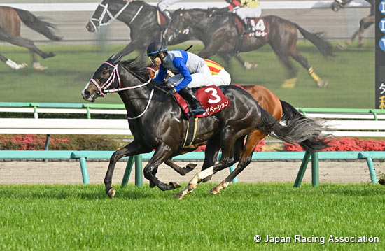 New Zealand Trophy (NHK Mile Cup Trial) (G2)