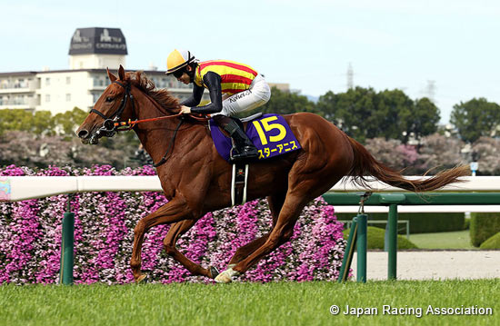 Oka Sho (Japanese 1000 Guineas) (G1)