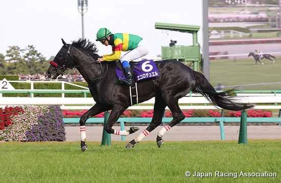 Nakayama Grand Jump (J-G1)