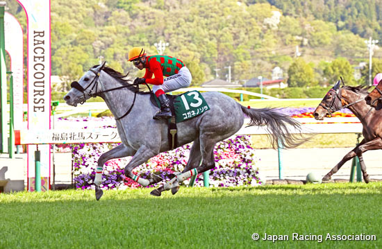 Fukushima Himba Stakes (G3)