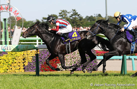 Satsuki Sho (Japanese 2000 Guineas) (G1)