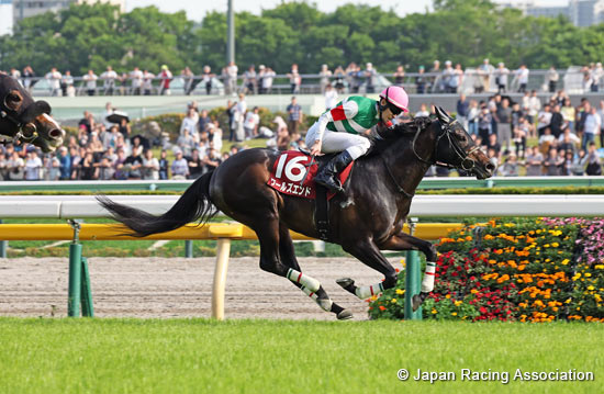 Keio Hai Spring Cup (G2)