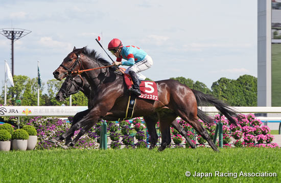 Kyoto Shimbun Hai (G2)