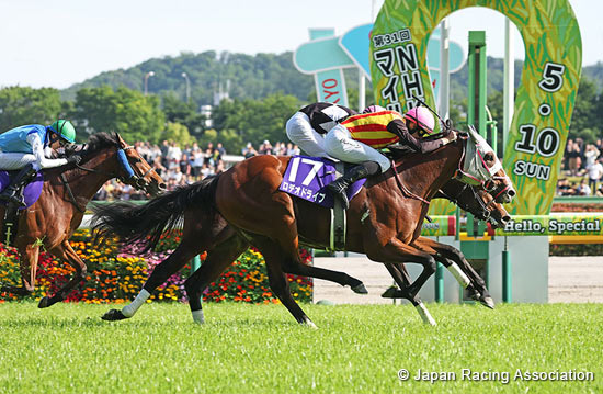 NHK Mile Cup (G1)