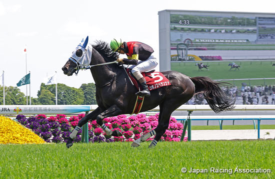 Kyoto High-Jump (J-G2)