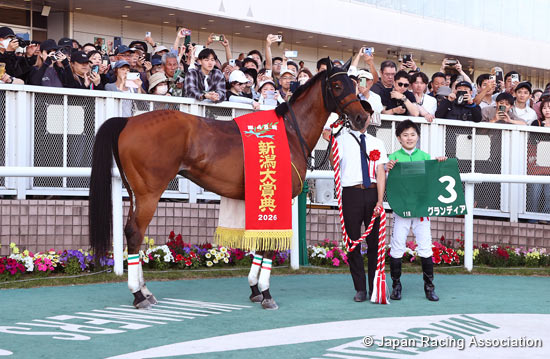 Niigata Daishoten (G3)