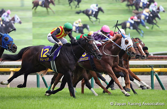 Yushun Himba (Japanese Oaks) (G1)