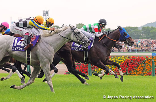 Yasuda Kinen (G1)