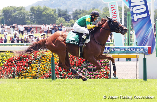 Tokyo Jump Stakes (J-G3)