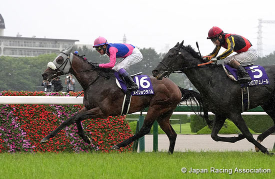 Takarazuka Kinen (G1)