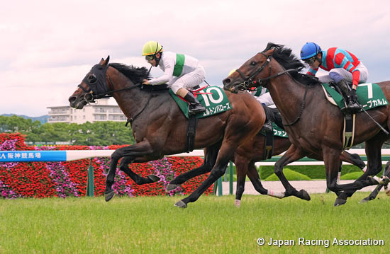 Shirasagi Stakes (G3)