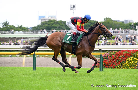 Fuchu Himba Stakes (G3)