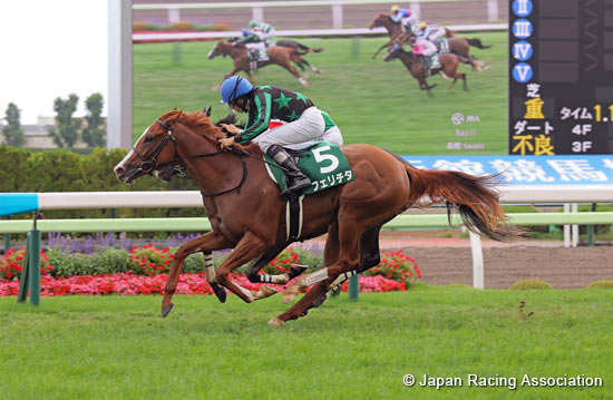 Hakodate Nisai Stakes (G3)