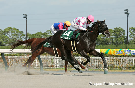 Tokai Stakes (G3)
