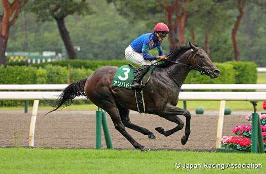 Sekiya Kinen (G3)