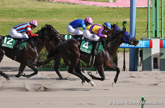 Leopard Stakes (G3)