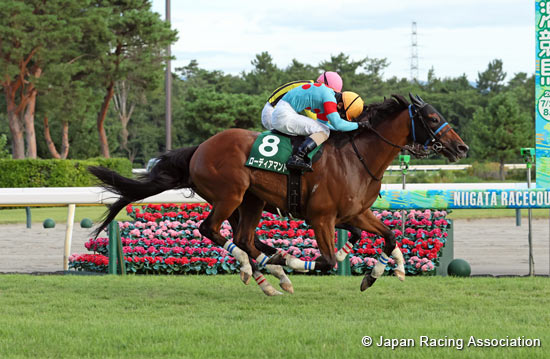 Niigata Jump Stakes (J-G3)