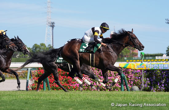 Chukyo Kinen (G3)