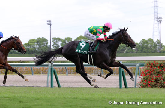 Chukyo Nisai Stakes (G3)