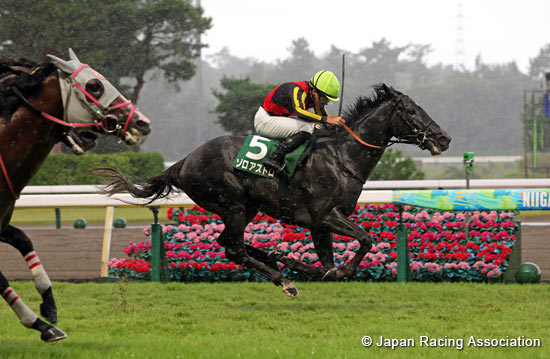 Niigata Kinen (G3)