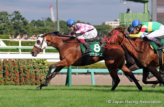 Keisei Hai Autumn Handicap (G3)