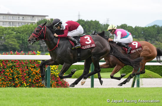 Sankei Sho Centaur Stakes (G2)