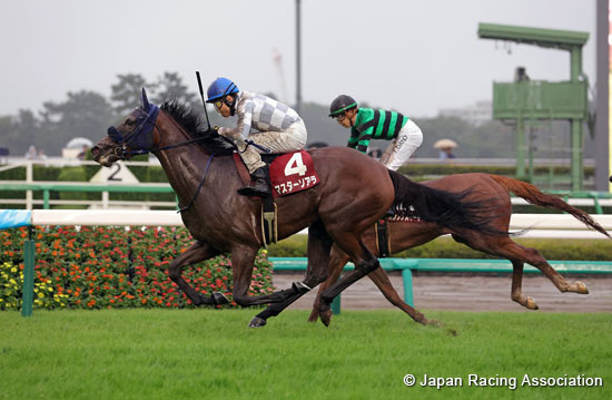 Shion Stakes (Shuka Sho Trial) (G2)