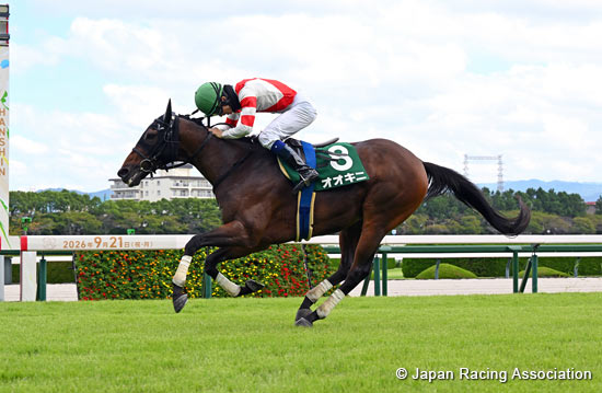 Hanshin Jump Stakes (J-G3)