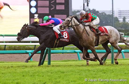 Sankei Sho All Comers (G2)