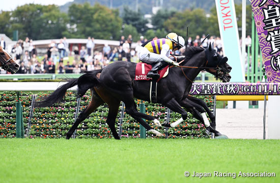 Mainichi Okan (G2)