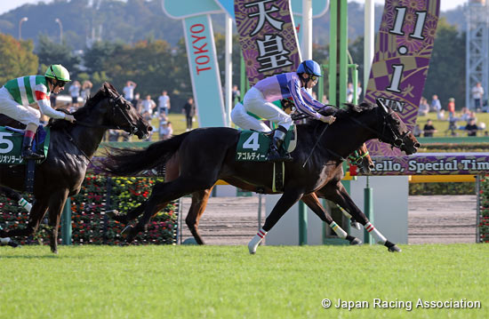 Saudi Arabia Royal Cup (G3)
