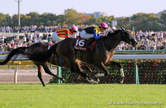 Ireland Trophy (G2)